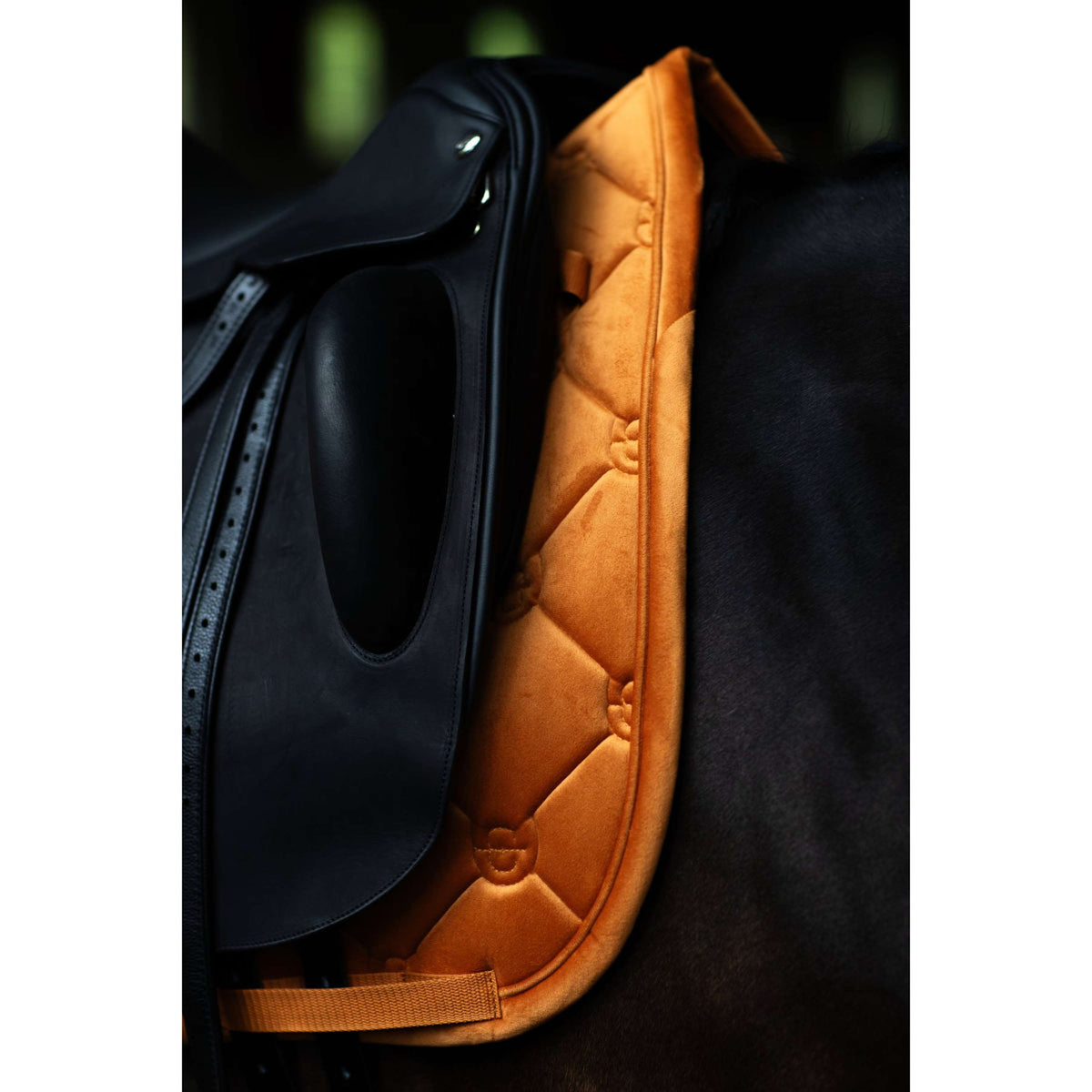 Equestrian Stockholm Mantilla Velvet Doma Clásica Chestnut