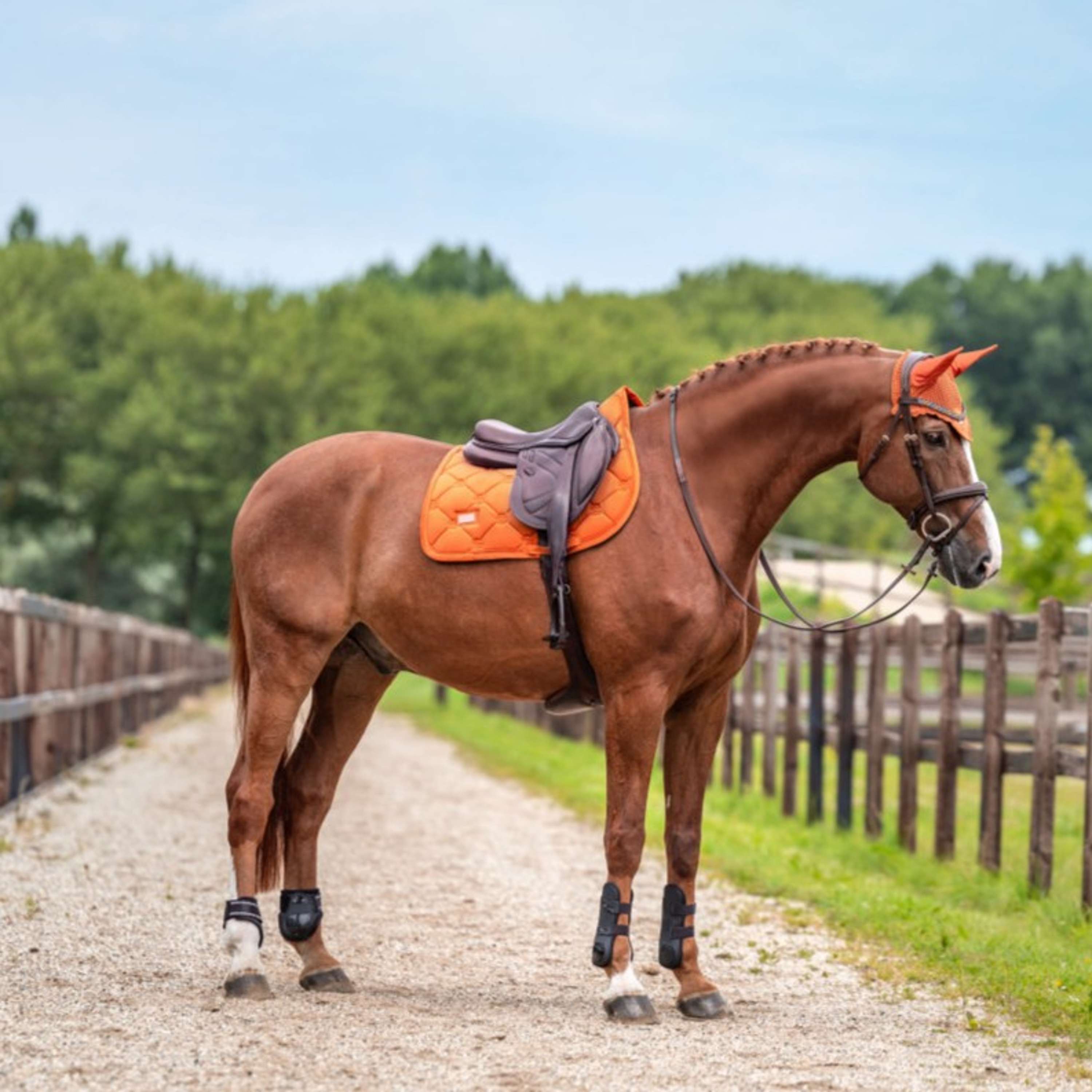 Equestrian Stockholm Bonete para Orejas Velvet Chestnut