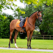 Equestrian Stockholm Mantilla Velvet Doma Clásica Chestnut