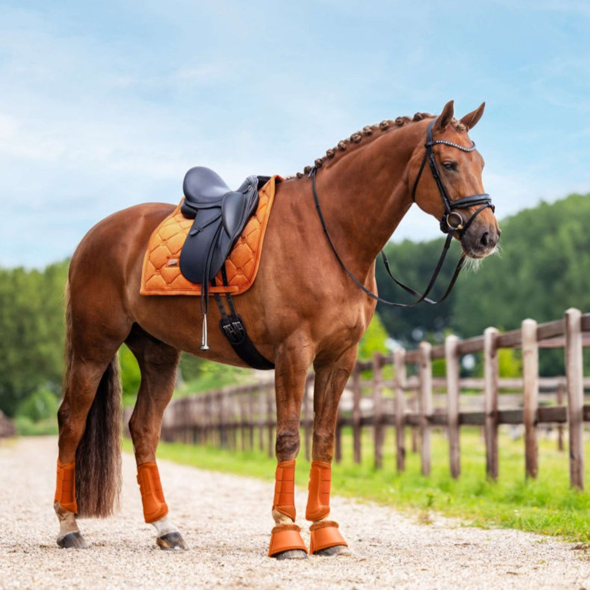Equestrian Stockholm Botas para Caballos Chestnut