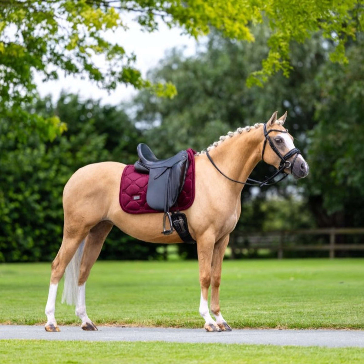 Equestrian Stockholm Mantilla Velvet Doma Clásica Merlot