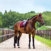 Equestrian Stockholm Mantilla Velvet Saltando Merlot