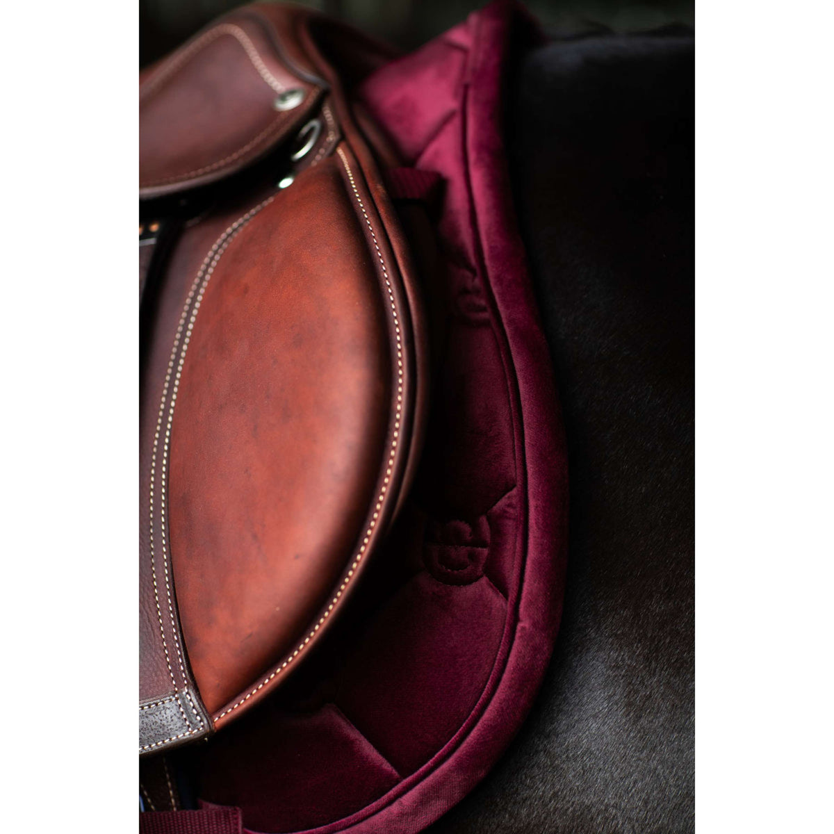 Equestrian Stockholm Mantilla Velvet Saltando Merlot