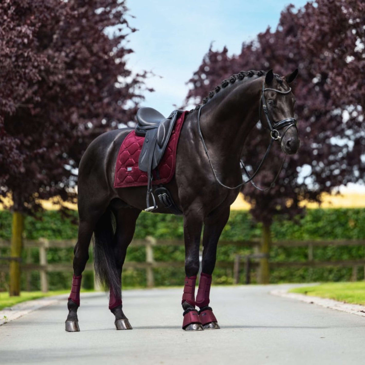 Equestrian Stockholm Protectores de piernas Mesh Merlot