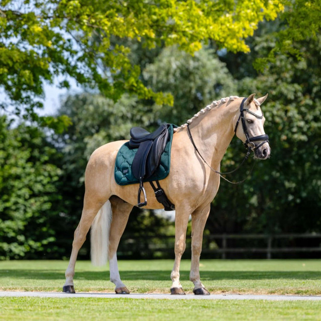 Equestrian Stockholm Mantilla Velvet Doma Clásica Sycamore Green