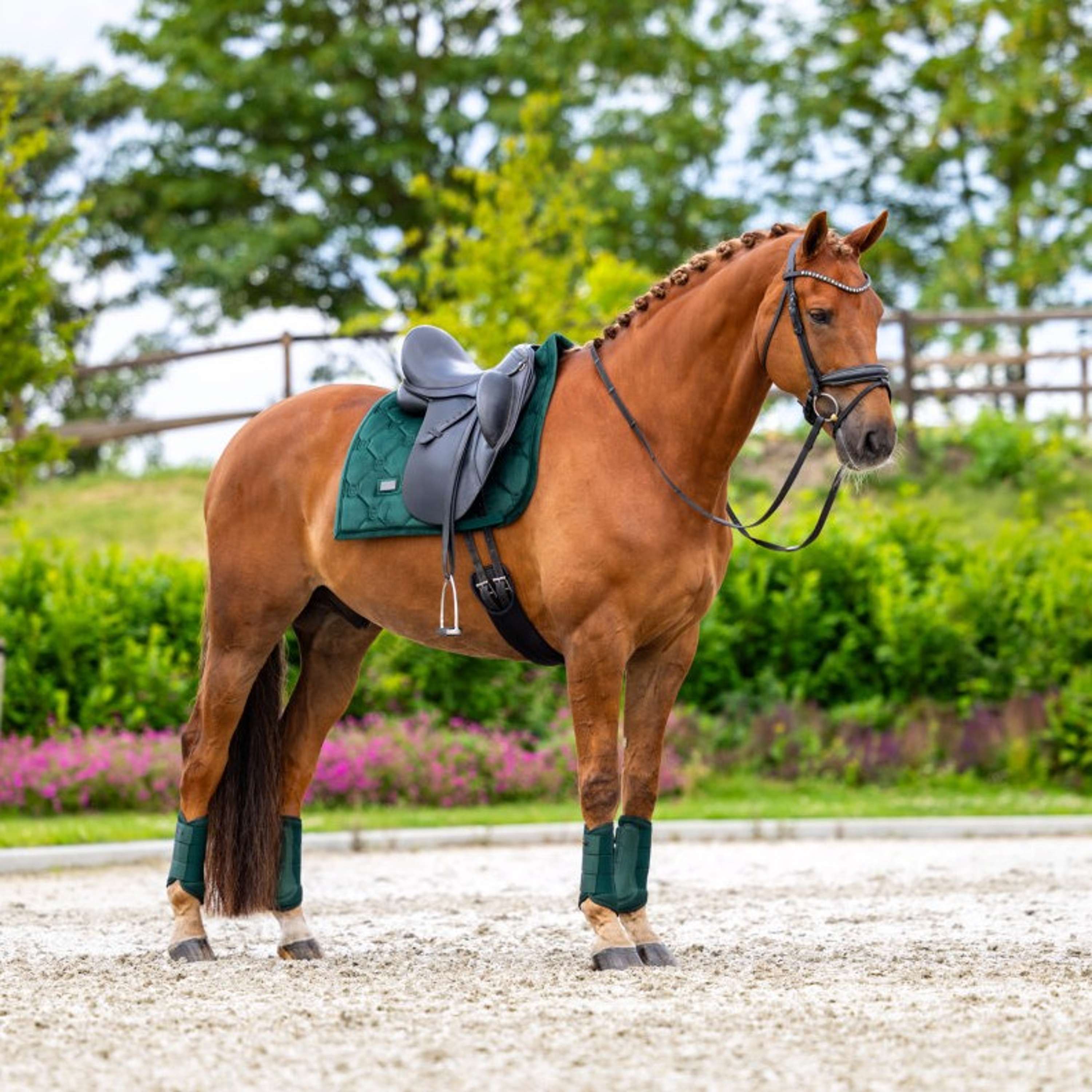 Equestrian Stockholm Mantilla Velvet Doma Clásica Sycamore Green