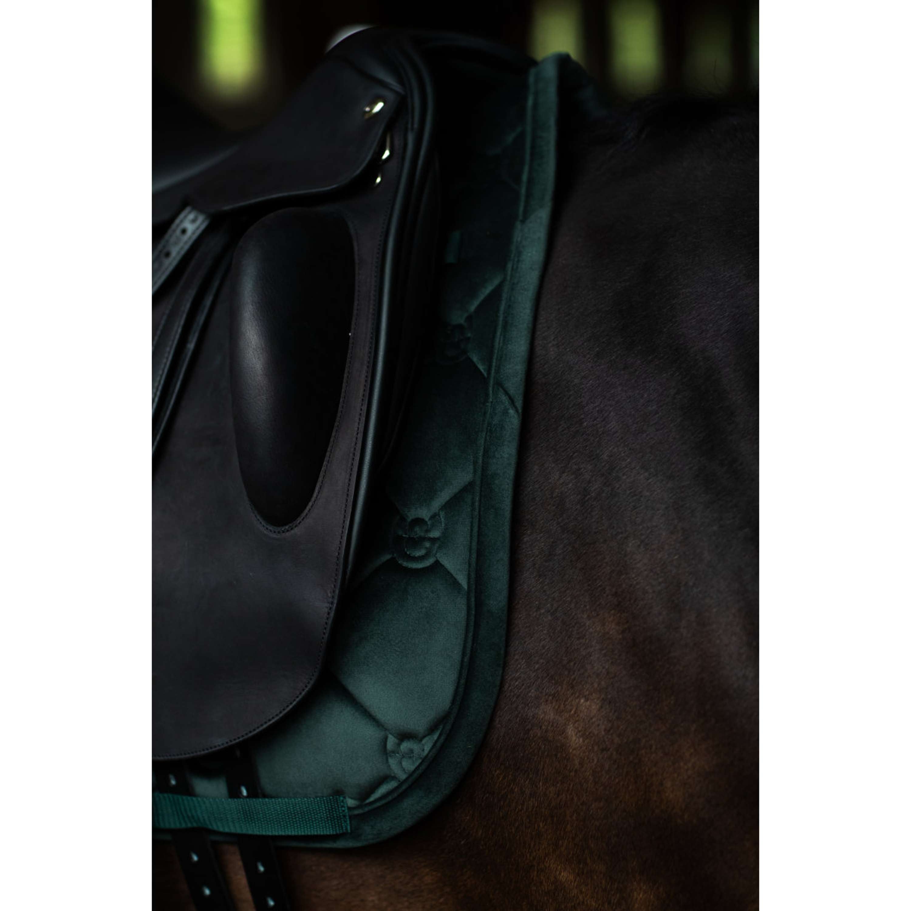 Equestrian Stockholm Mantilla Velvet Doma Clásica Sycamore Green