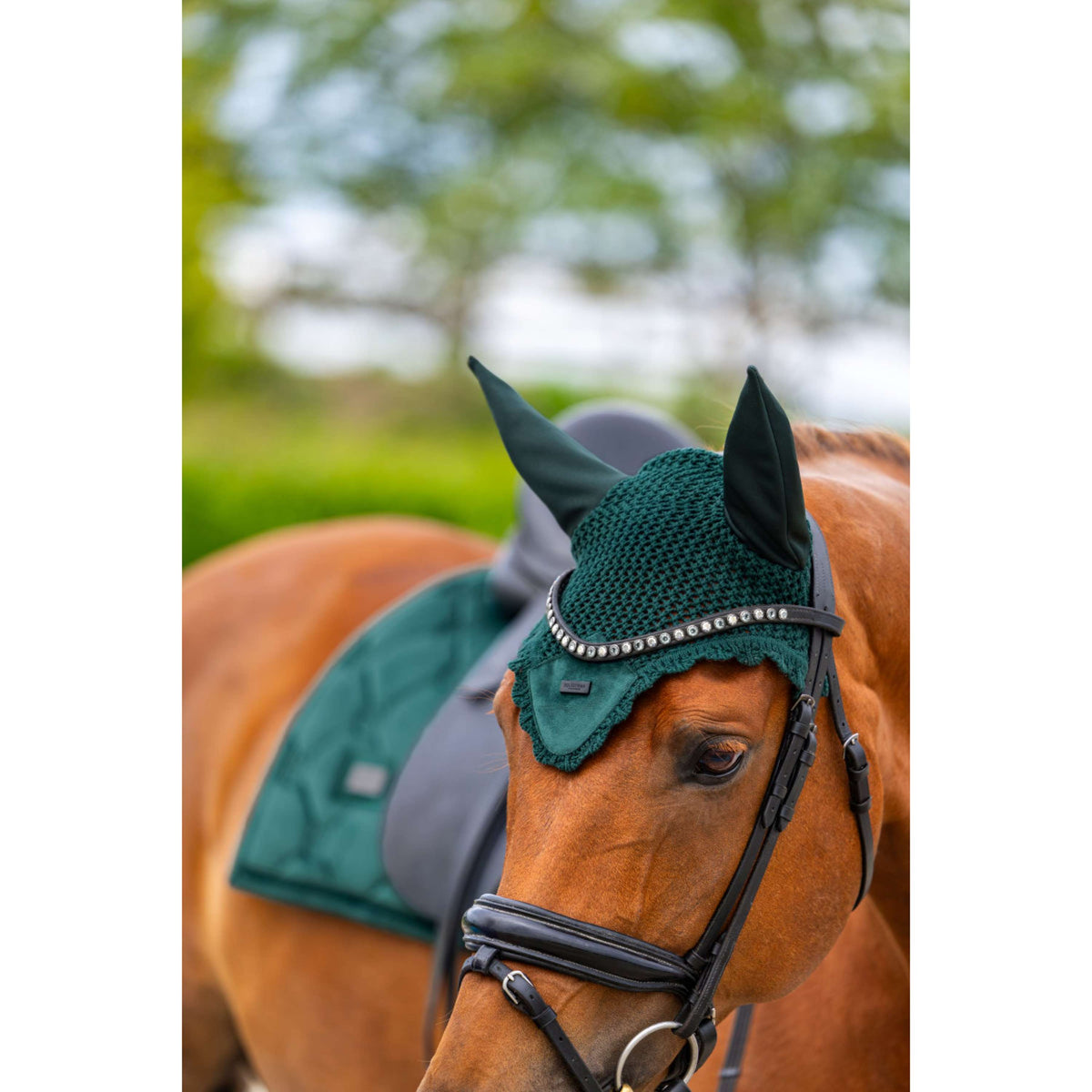Equestrian Stockholm Bonete para Orejas Velvet Sycamore Green