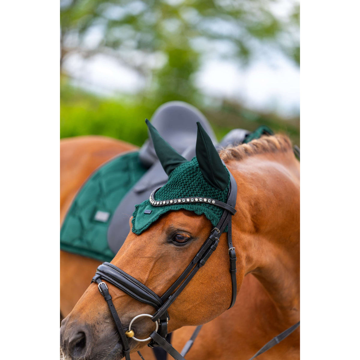 Equestrian Stockholm Bonete para Orejas Velvet Sycamore Green