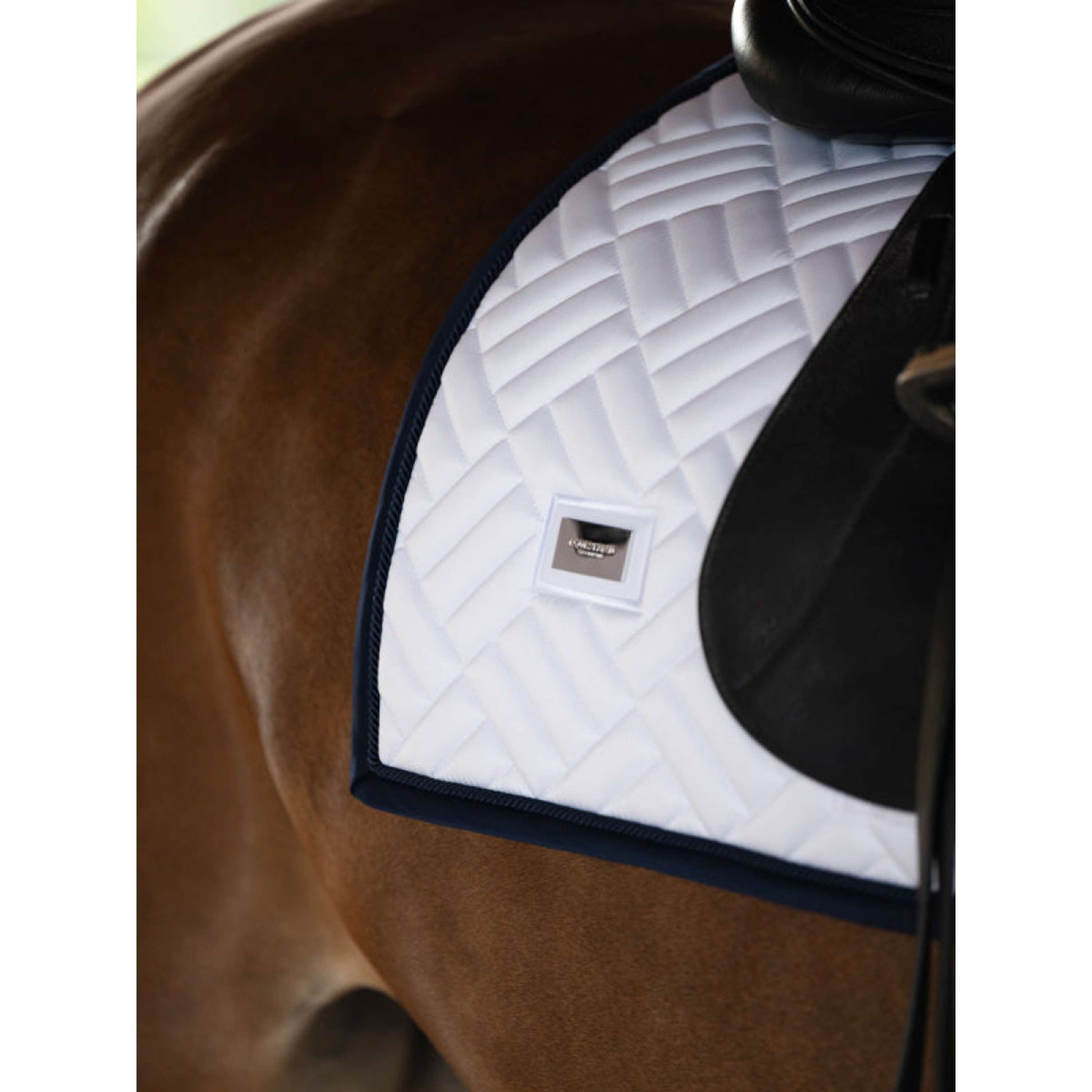 Equestrian Stockholm Mantilla Modern Doma Clásica Blanco/Azul Marino