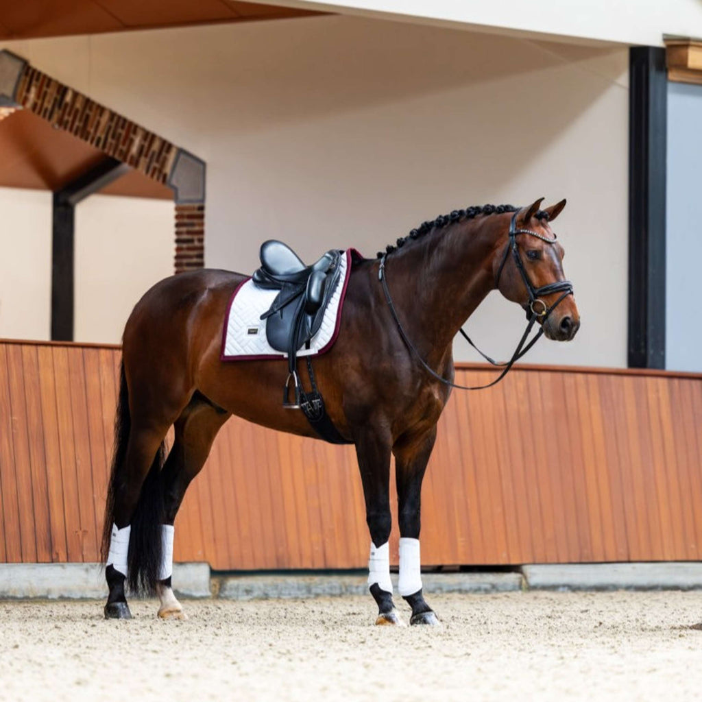 Equestrian Stockholm Mantilla Modern Doma Clásica Blanco/Merlot