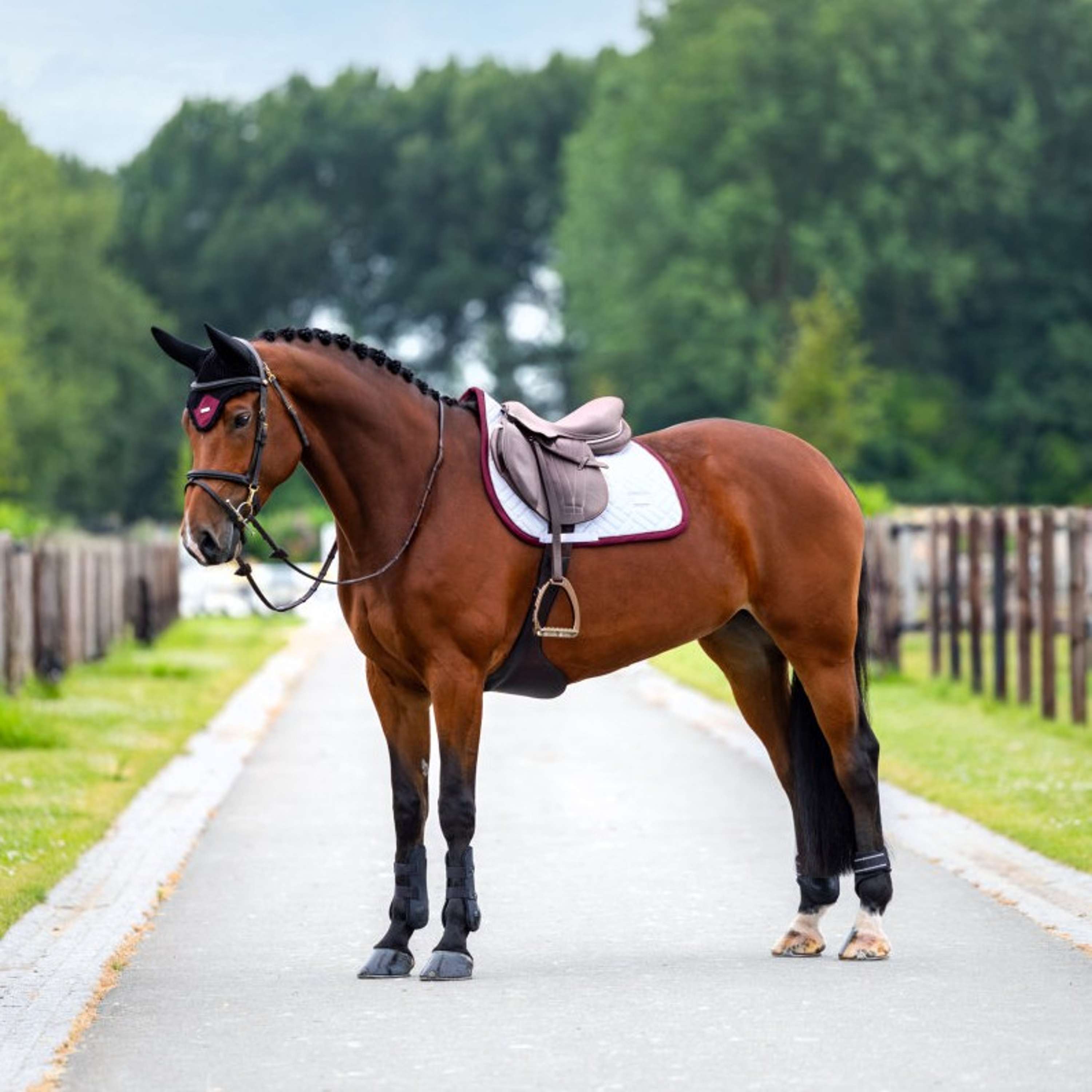 Equestrian Stockholm Mantilla Modern Saltando Blanco/Merlot