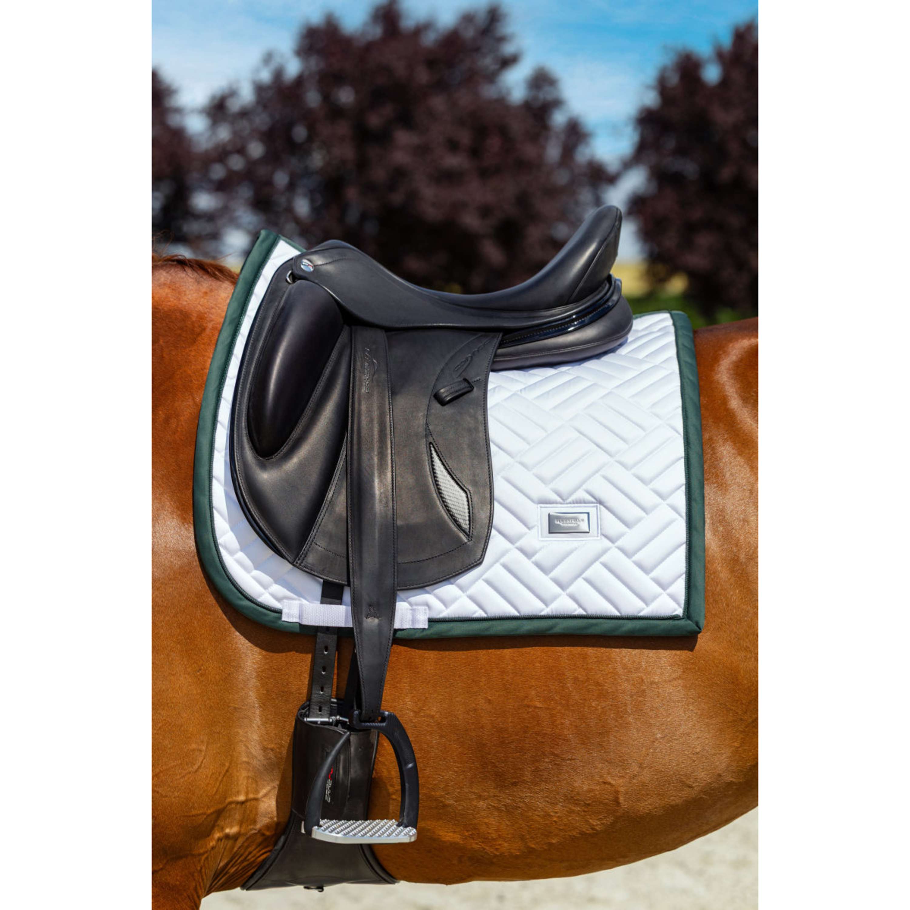 Equestrian Stockholm Mantilla Modern Doma Clásica Blanco/Sycamore Green