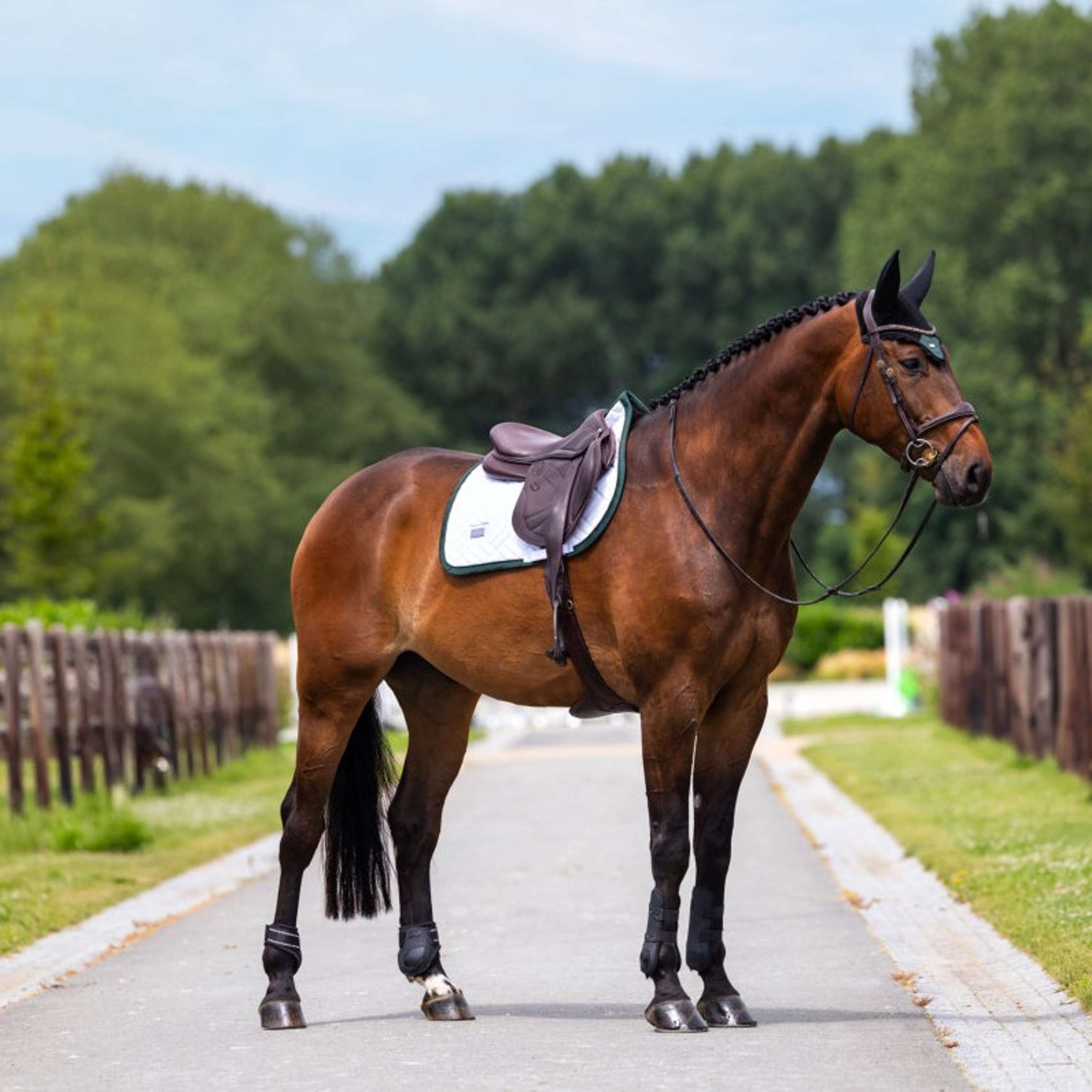Equestrian Stockholm Mantilla Modern Saltando Blanco/Sycamore Green