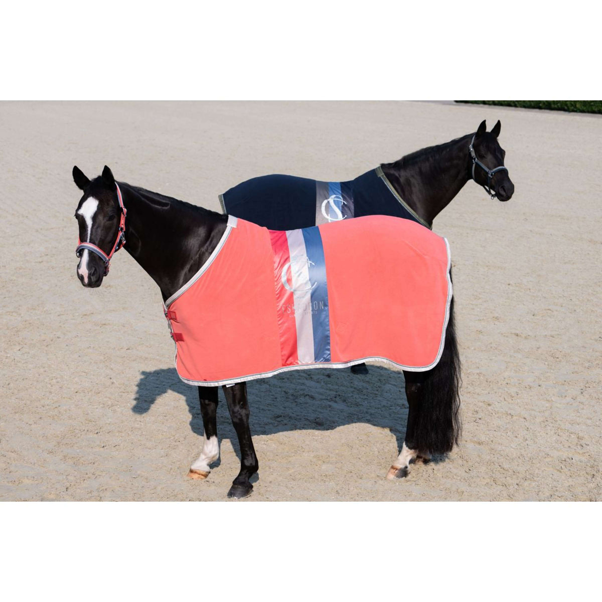 Eskadron Manta para el sudor Classic Sports Fleece Stripe Coral Blossom