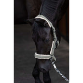 Eskadron Cabezada Classic Sports Denim Double Pin Teddyfleece Dusty Olive