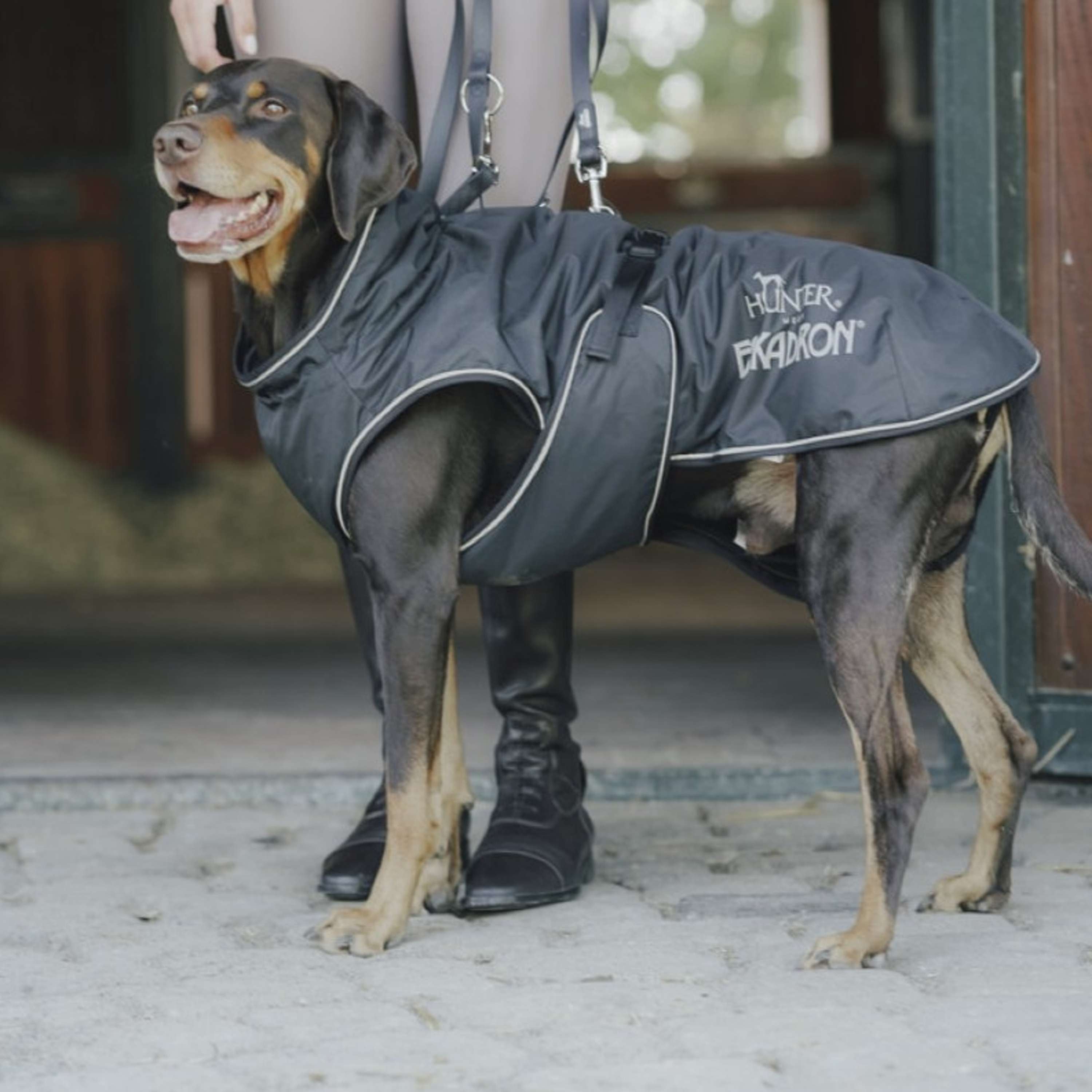 Hunter x Eskadron Abrigo de invierno para perro Vario Negro