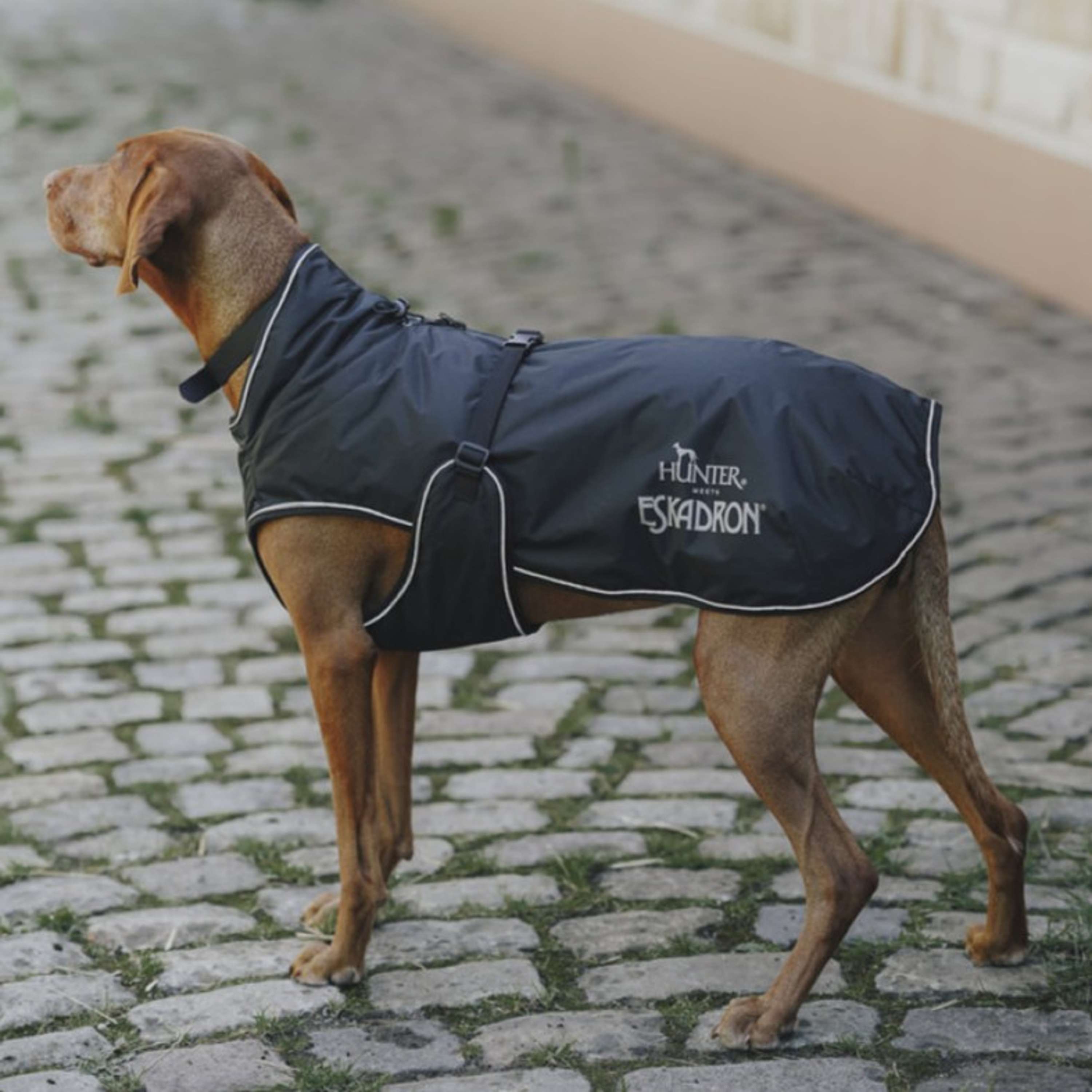 Hunter x Eskadron Abrigo de invierno para perro Vario Negro