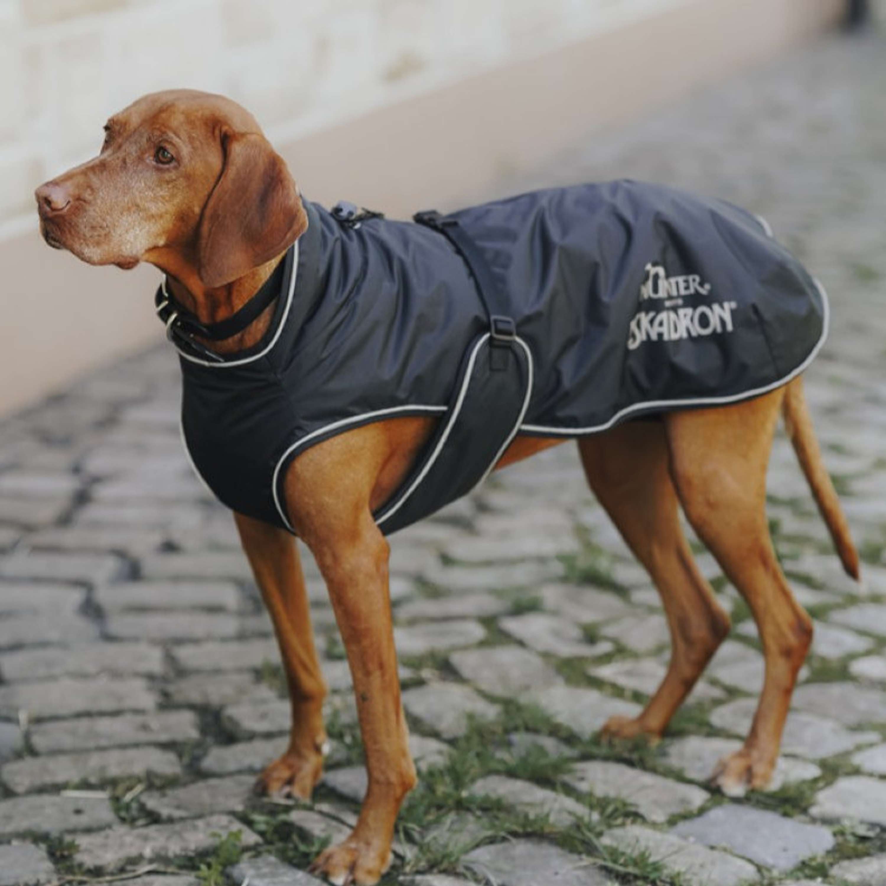 Hunter x Eskadron Abrigo de invierno para perro Vario Negro