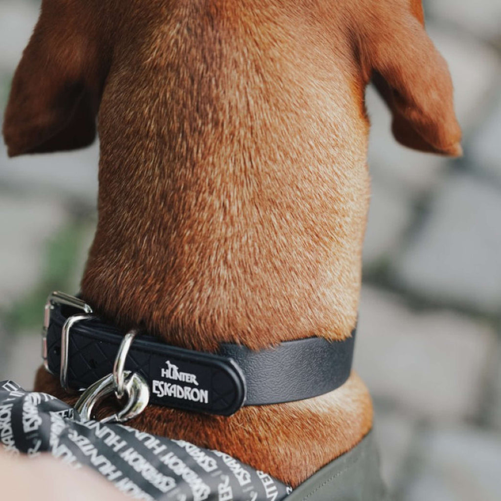 Hunter x Eskadron Collar para Perro Spark Negro