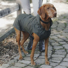 Hunter x Eskadron Impermeable Para Perro Rainshield Olive