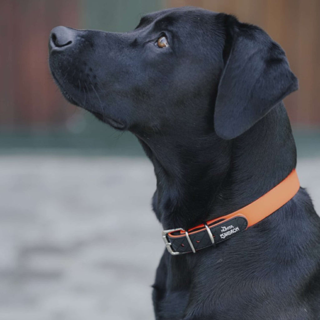 Hunter x Eskadron Collar para Perro Spark Naranja Neon
