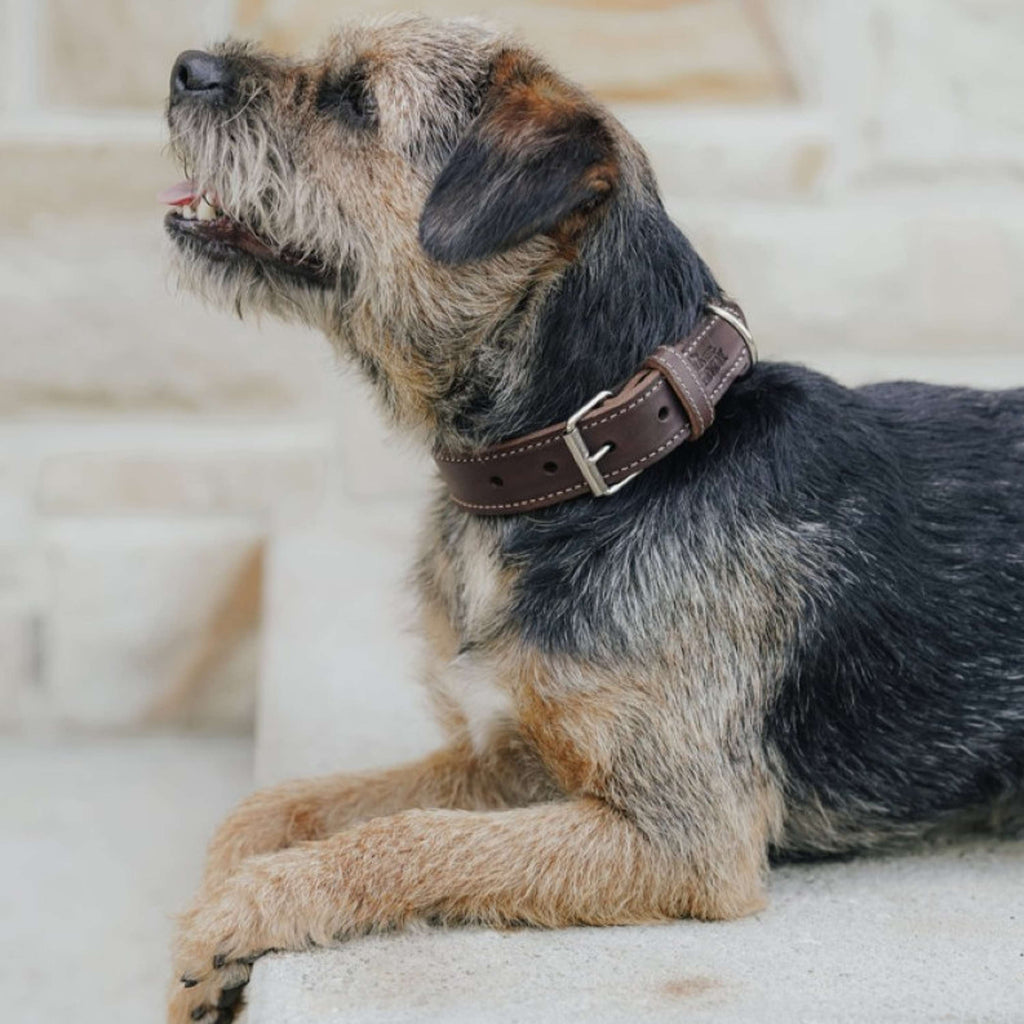 Hunter x Eskadron Collar para Perro Craft Marron Oscuro