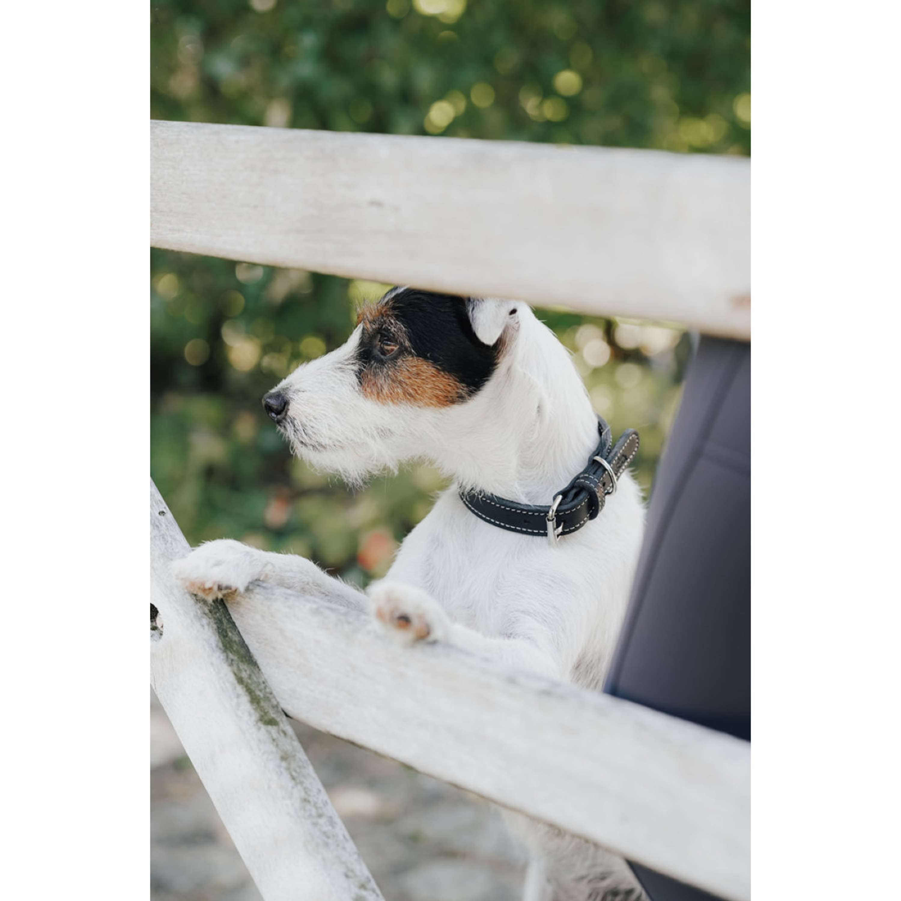 Hunter x Eskadron Collar para Perro Craft Negro