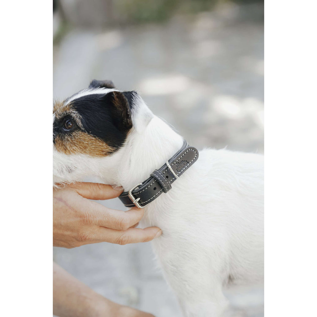 Hunter x Eskadron Collar para Perro Craft Negro