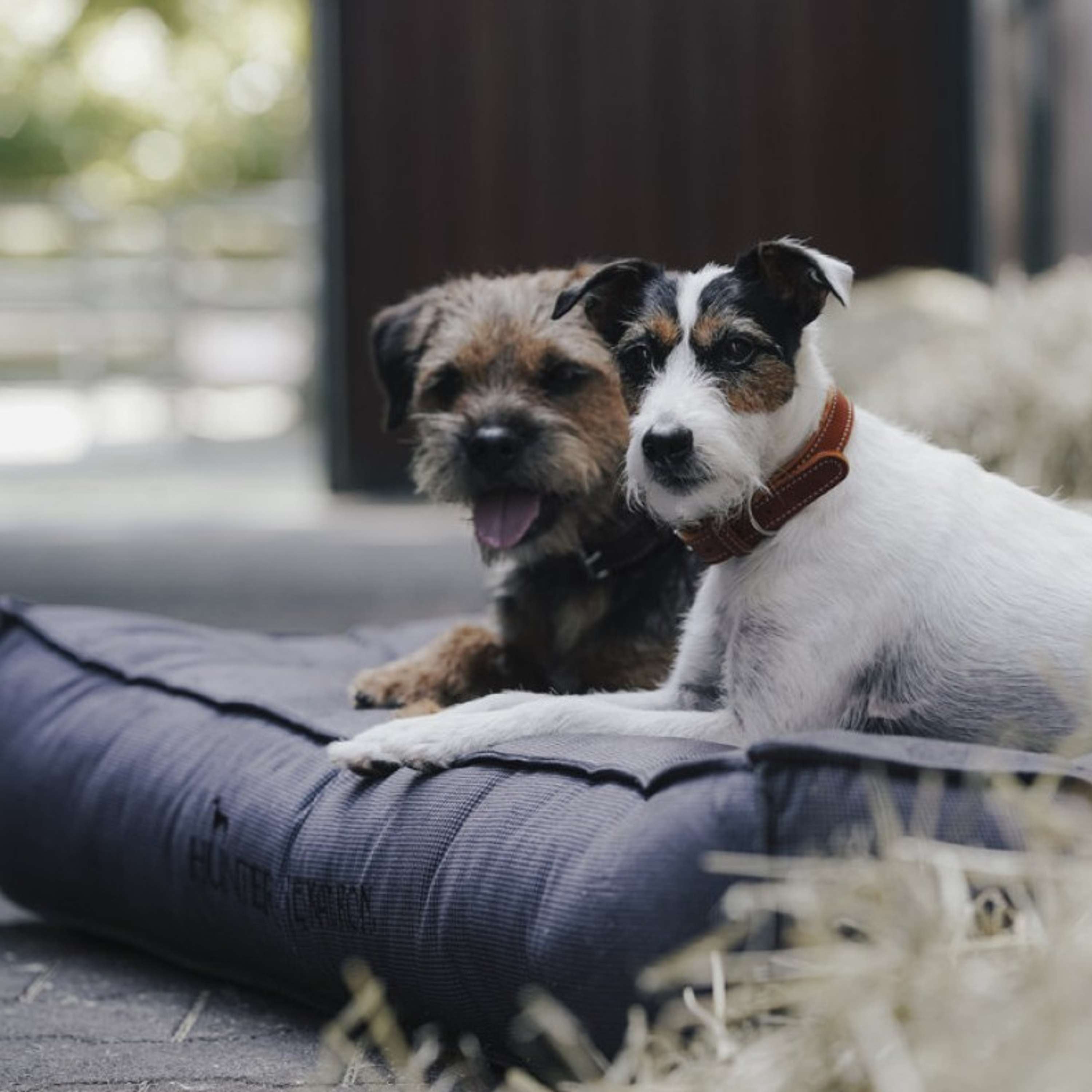 Hunter x Eskadron Cama para Perro Chester Antracita a cuadros