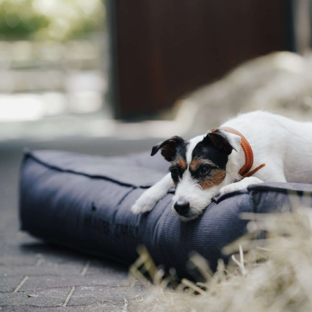 Hunter x Eskadron Cama para Perro Chester Antracita a cuadros