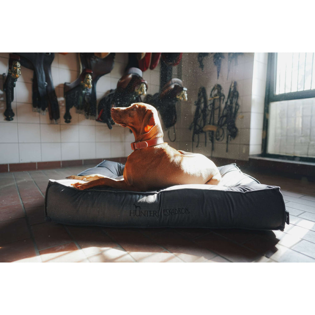 Hunter x Eskadron Cama para Perro Chester Antracita a cuadros