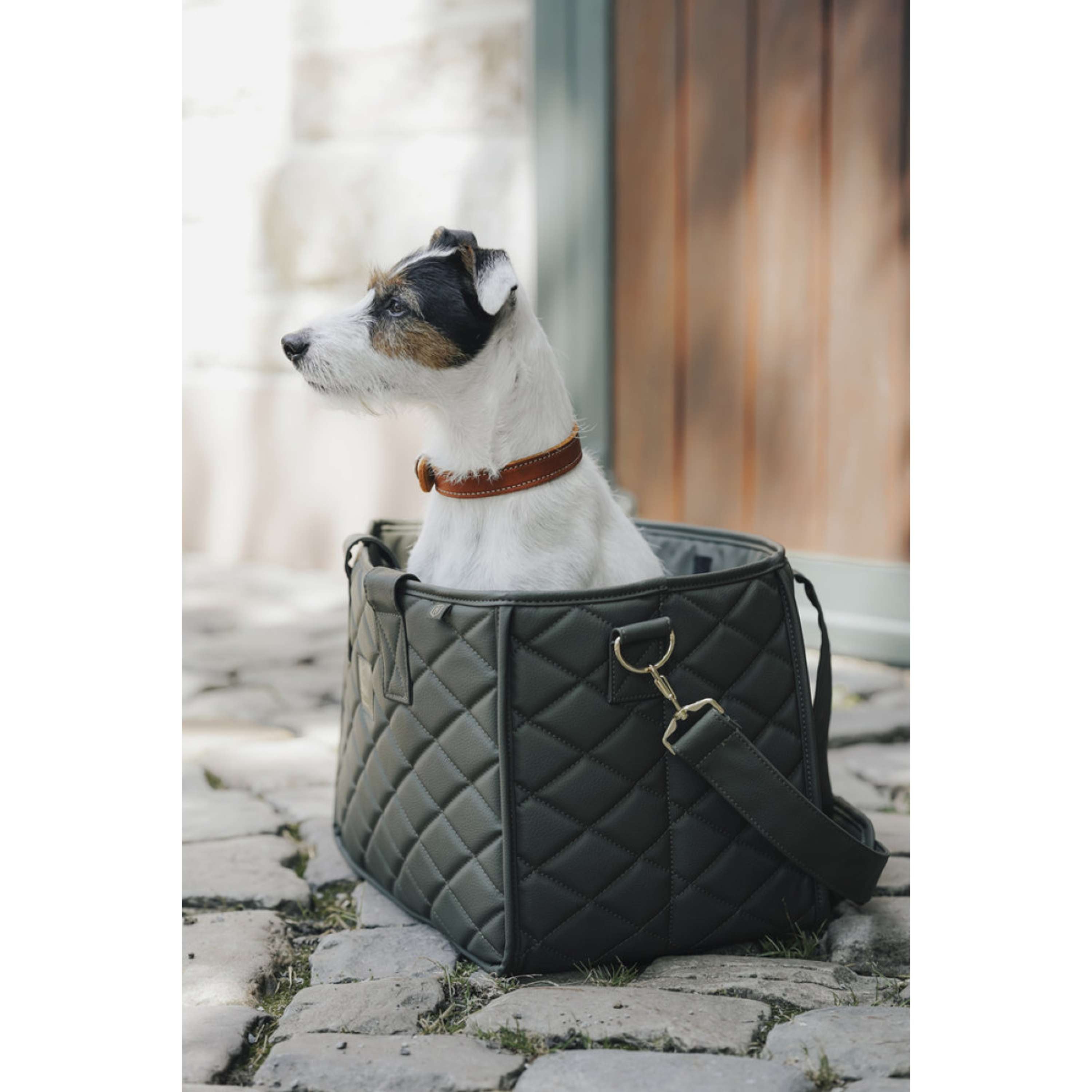 Hunter x Eskadron Collar para Perro Craft Cognac