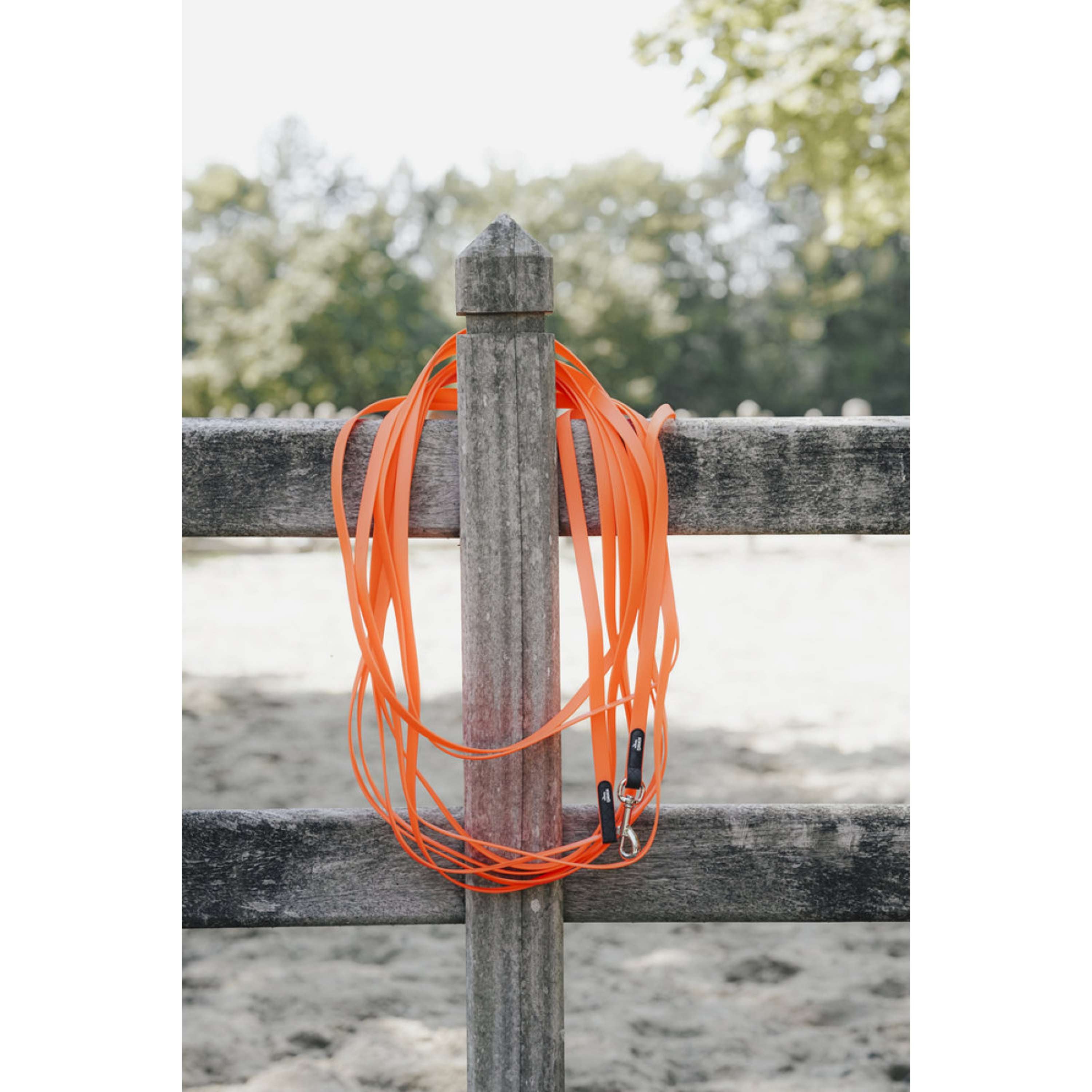 Hunter x Eskadron Correa para Perro Spark Tracking Naranja Neon