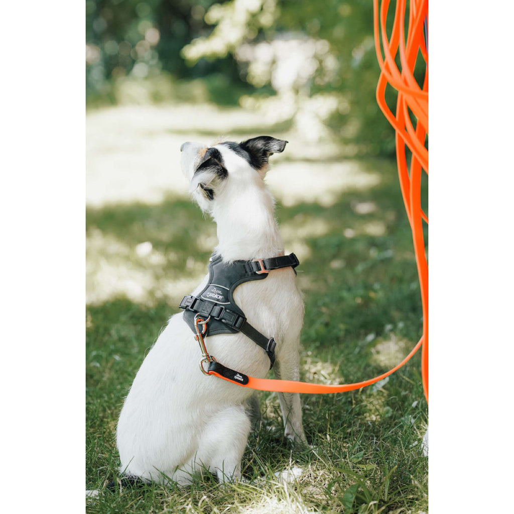 Hunter x Eskadron Arnés para Perro Motion Reflect Antracita