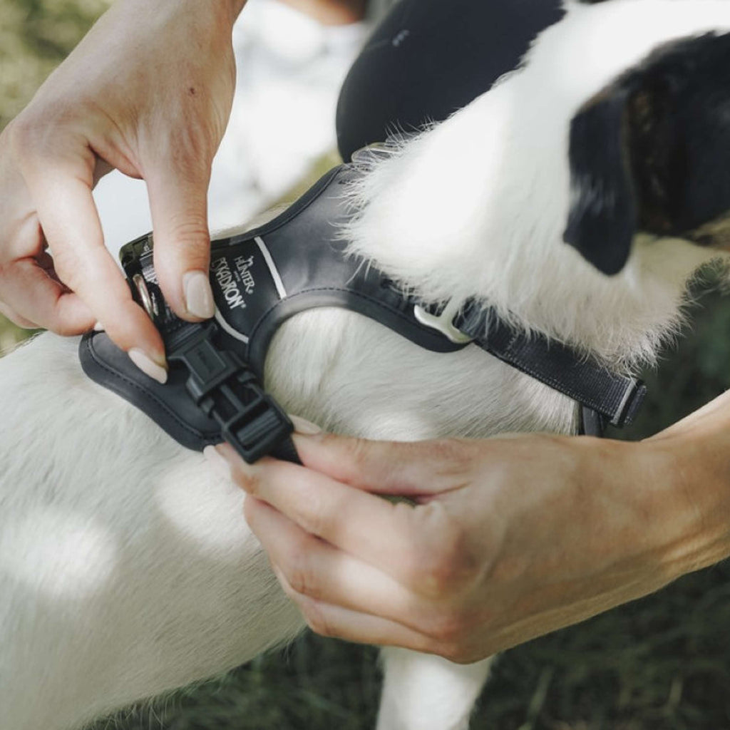 Hunter x Eskadron Arnés para Perro Motion Reflect Antracita