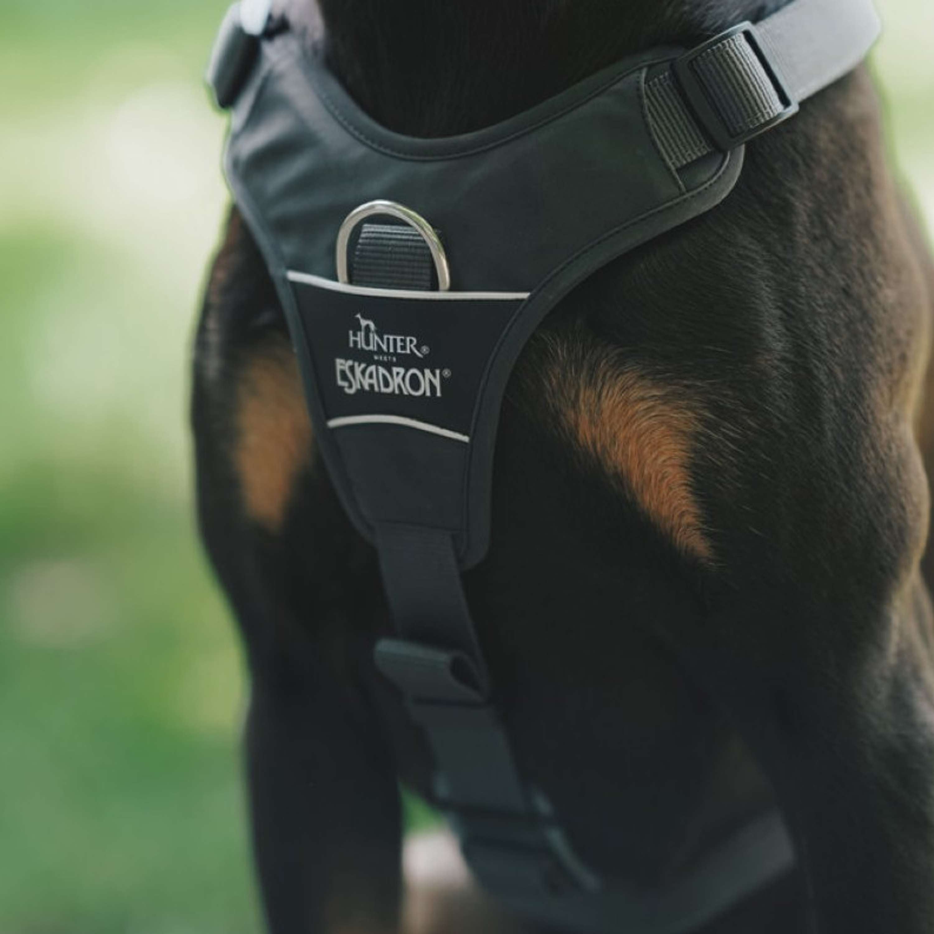 Hunter x Eskadron Arnés para Perro Motion Reflect Antracita