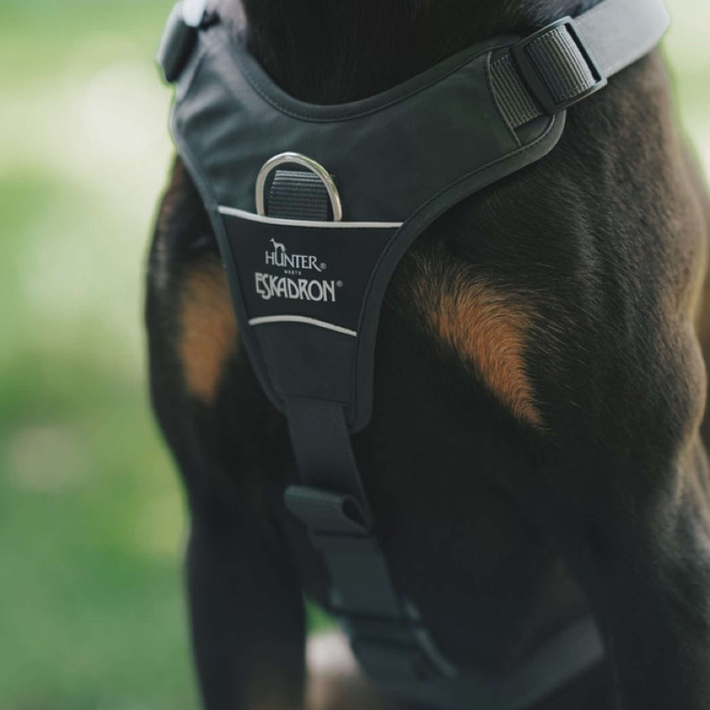 Hunter x Eskadron Arnés para Perro Motion Reflect Antracita