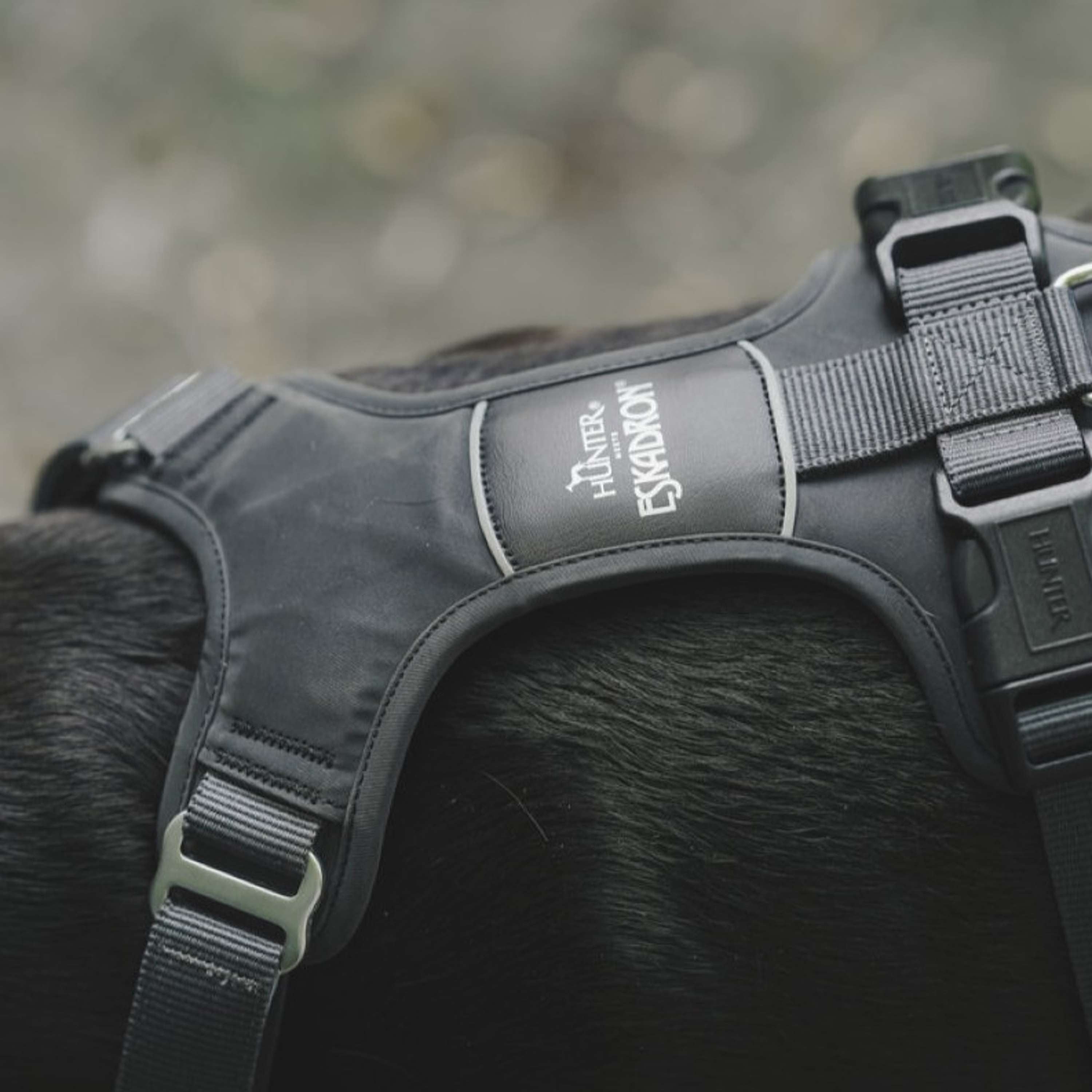 Hunter x Eskadron Arnés para Perro Motion Reflect Antracita