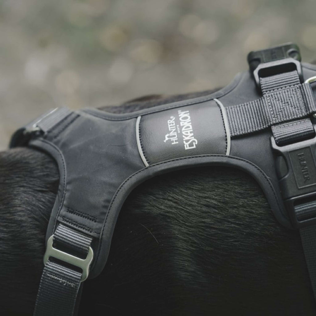 Hunter x Eskadron Arnés para Perro Motion Reflect Antracita