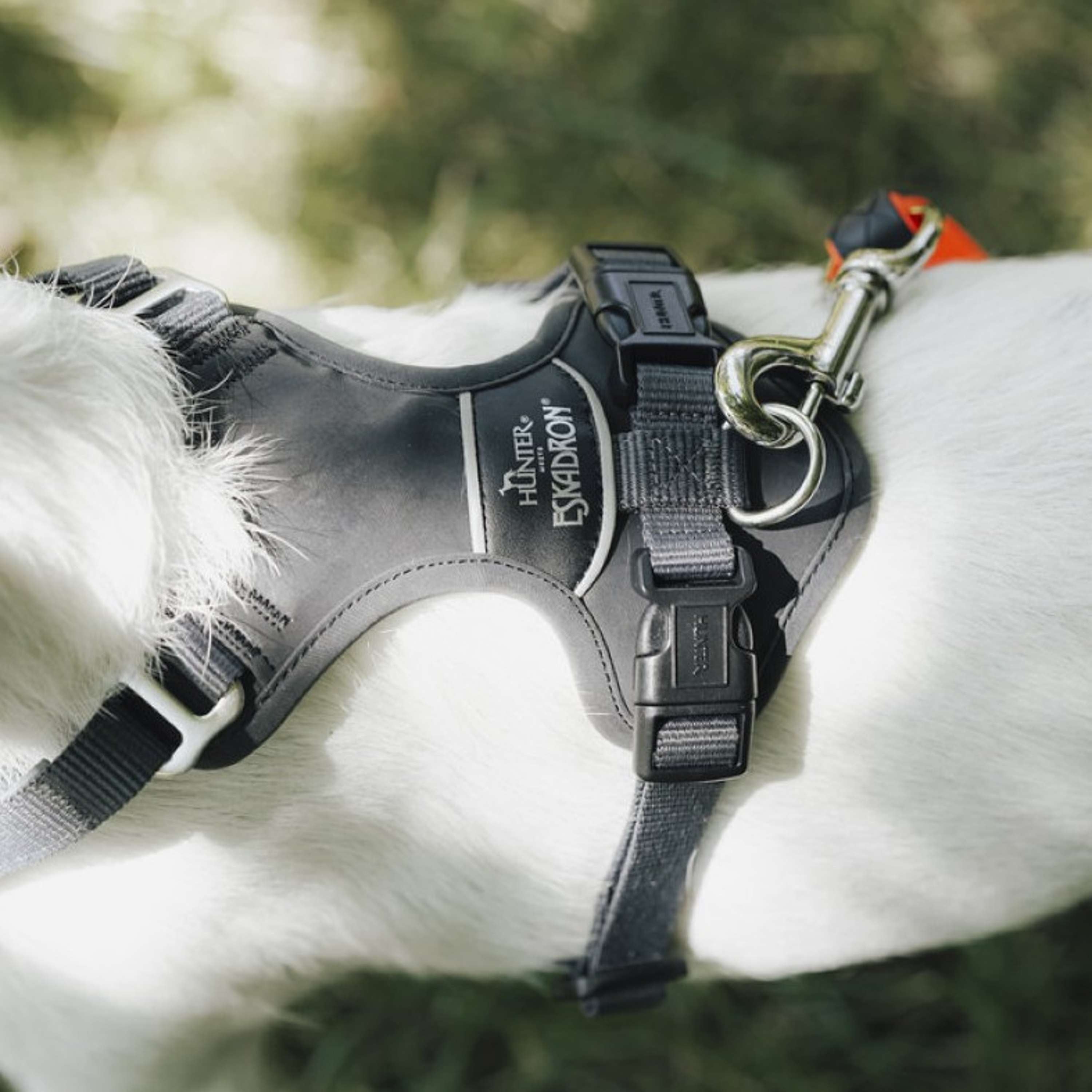 Hunter x Eskadron Arnés para Perro Motion Reflect Antracita