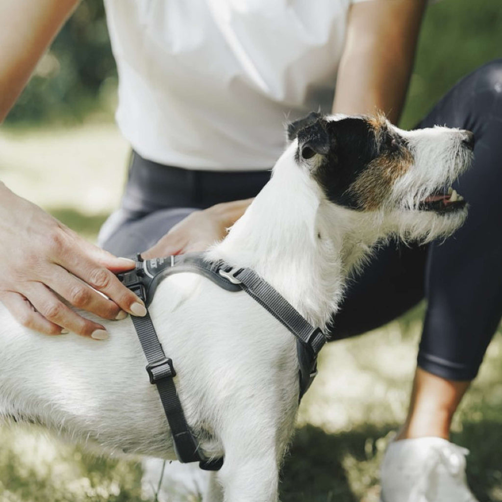 Hunter x Eskadron Arnés para Perro Motion Reflect Antracita