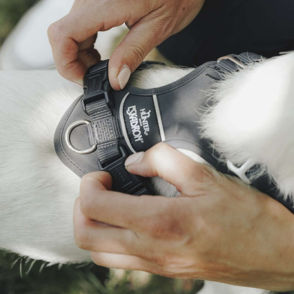 Hunter x Eskadron Arnés para Perro Motion Reflect Antracita