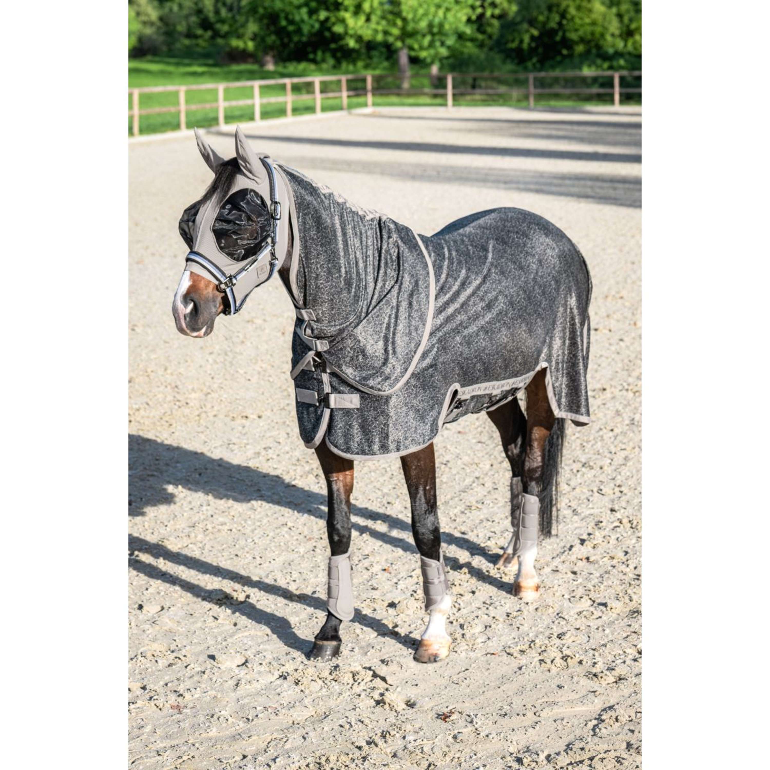 Eskadron Manta Antimoscas Platinum '26 con Capucha Desmontable Pale Grey