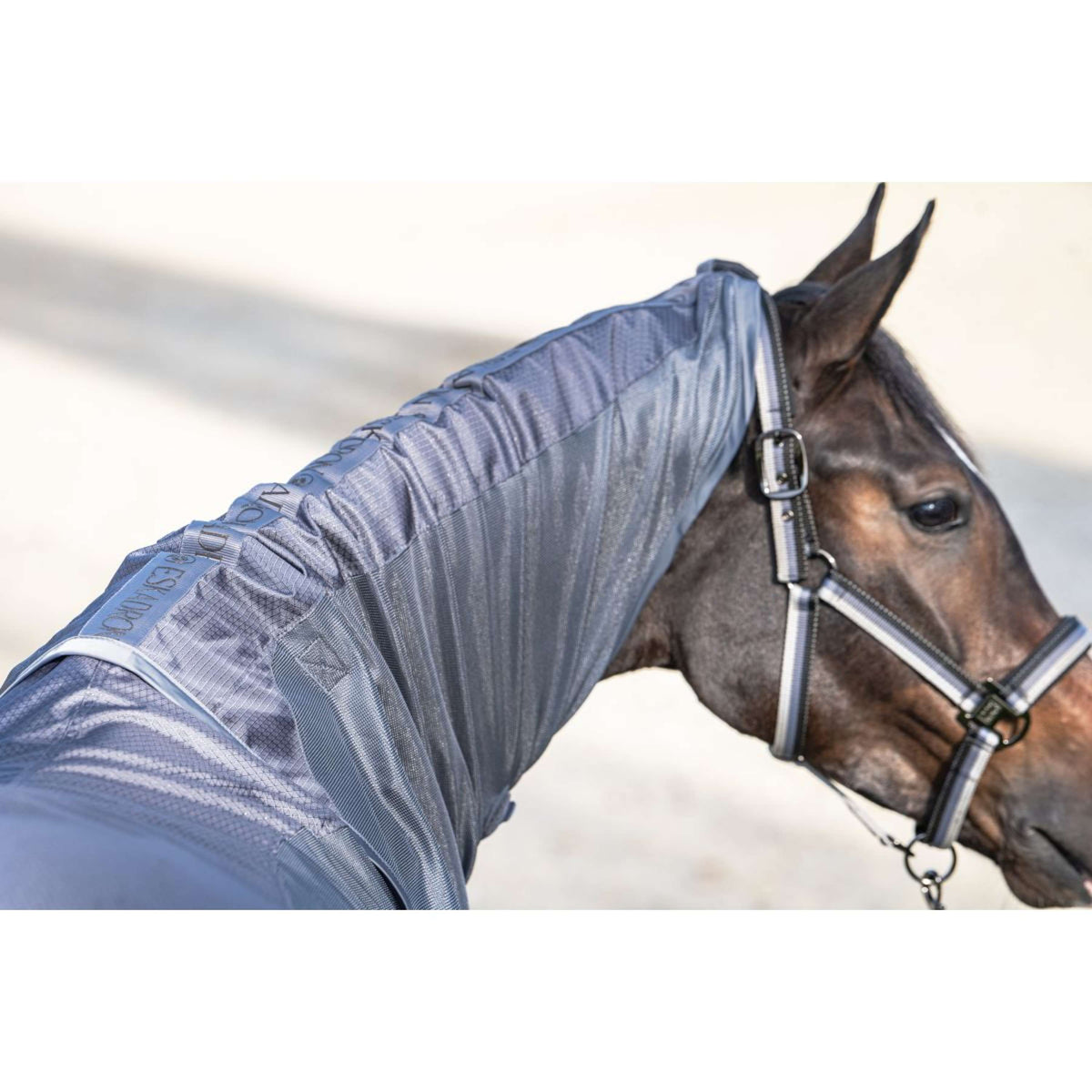 Eskadron Manta Antimoscas Platinum '26 Waterproof con Capucha Desmontable Slate Blue
