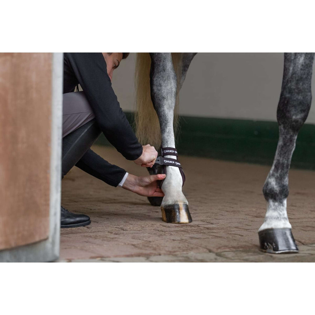 Eskadron Botas protectoras de menudillo Air-Flex Sport Marron