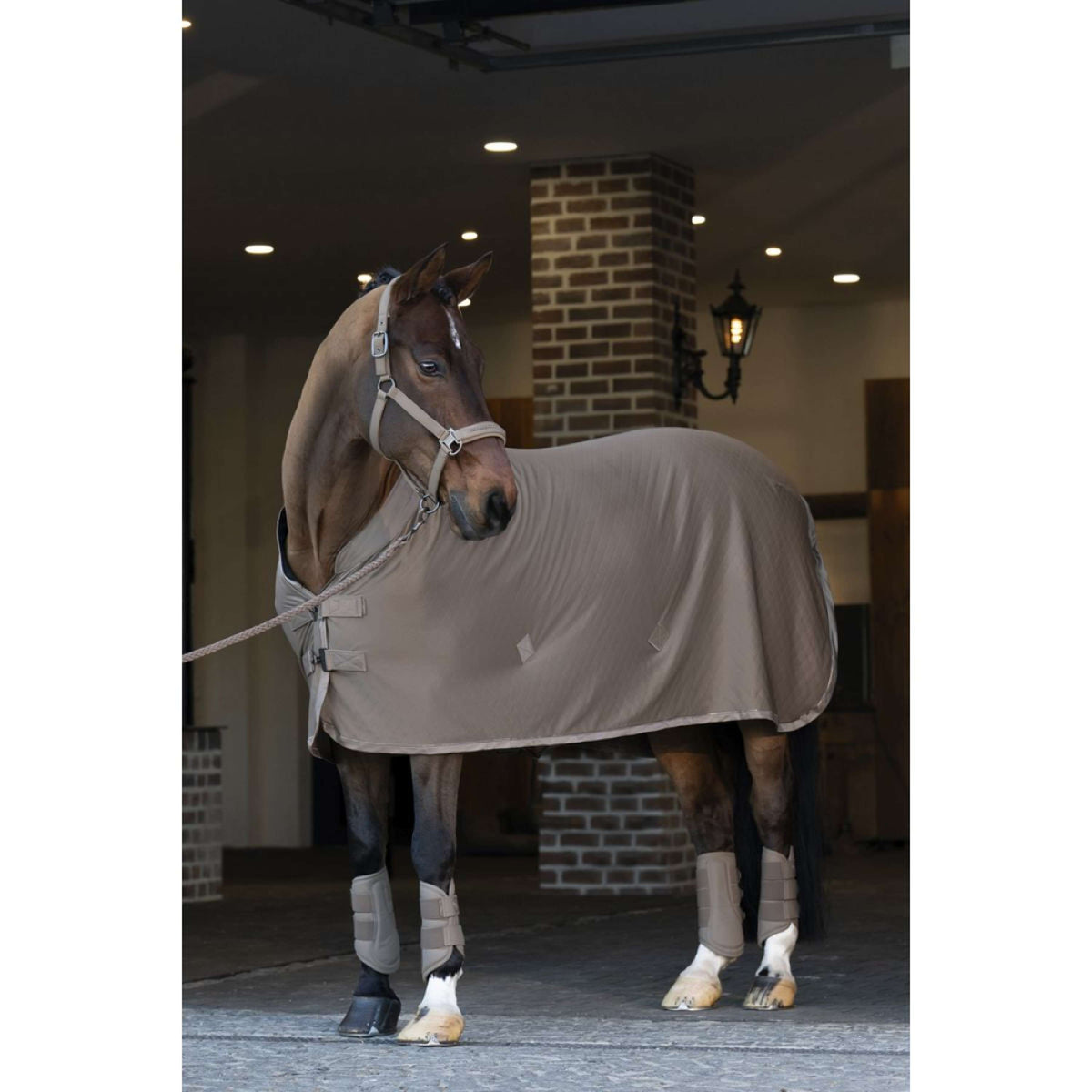 Eskadron Protectores de piernas Faux Leather Platinum '25 Smoky Taupe