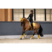 Eskadron Protectores de piernas Faux Leather Platinum '25 Golden Yellow