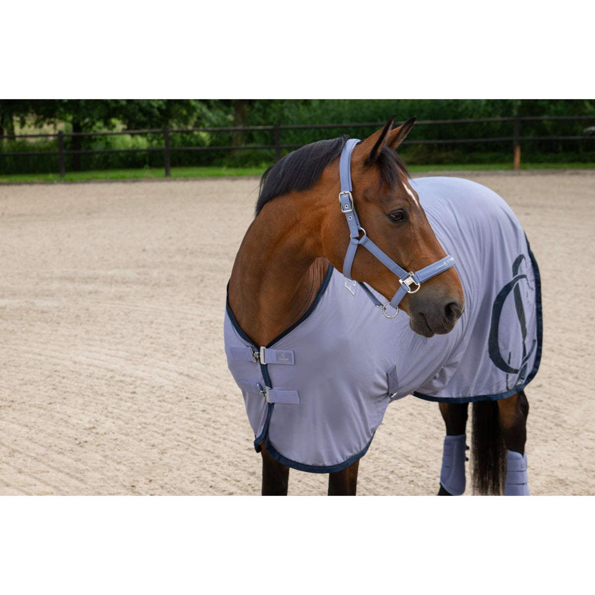 Eskadron Cabezada Classic Sports Sparkle Orchid