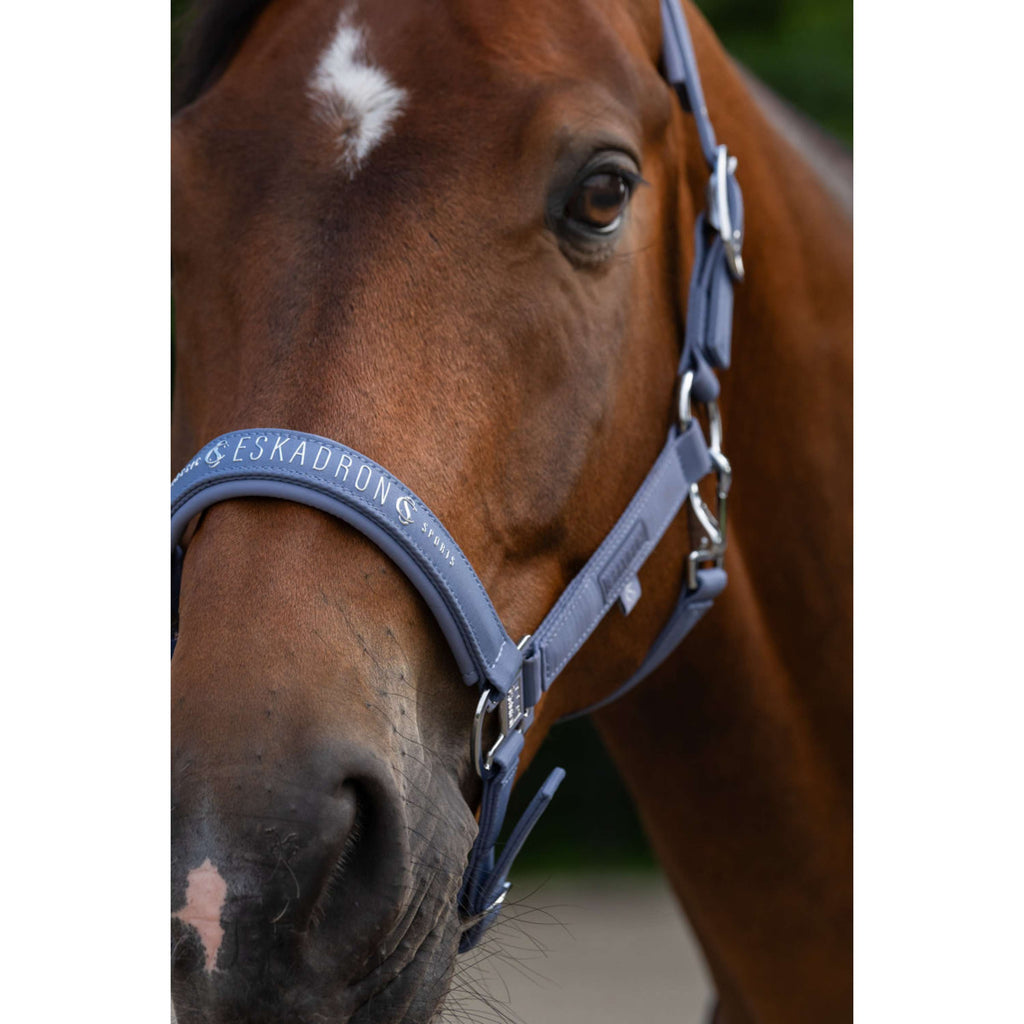 Eskadron Cabestro Classic Sports Sparkle Orchid